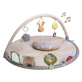 Taf Toys  Tummy-Time Activity Gym Βρεφικό Γυμναστήριο - Γυμναστήρια Δραστηριοτήτων στο Oneirokosmos