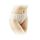 Thermobaby Εσώρουχα Μίας Χρήσης 4 τεμ  Size 2 - Εσώρουχα στο Oneirokosmos