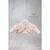 Angel Wings Βαπτιστικό Ρούχο για Κορίτσι Bolero Casmir Bo plom Σχέδιο 281/132 Nude - Ρούχα Βάπτισης για Κορίτσι στο Oneirokosmos