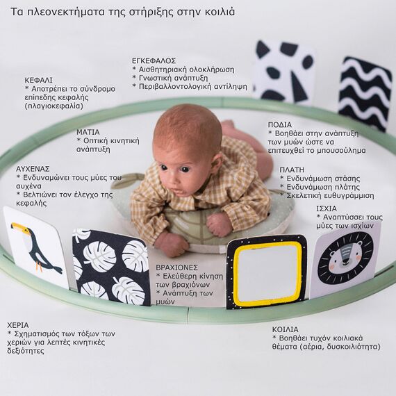 Taf Toys Στεφάνι Δραστηριοτήτων Tummy Time Trainer T-12945 - Γυμναστήρια Δραστηριοτήτων στο Oneirokosmos