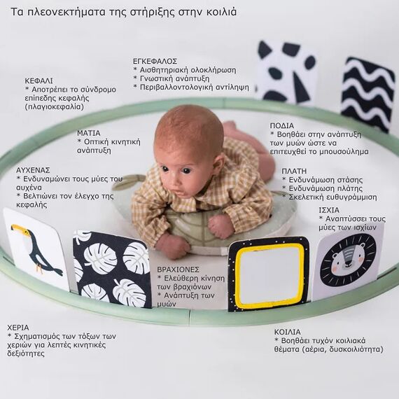 Taf Toys Στεφάνι Δραστηριοτήτων Tummy Time Trainer T-12945 - Γυμναστήρια Δραστηριοτήτων στο Oneirokosmos