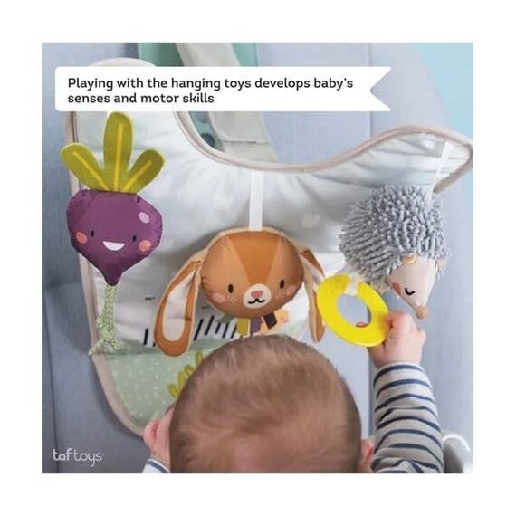 Taf Toys Κρεμαστό Παιχνίδι Αυτοκινήτου με Καθρέφτη Urban Garden T-13105 - Γυμναστήρια Δραστηριοτήτων στο Oneirokosmos