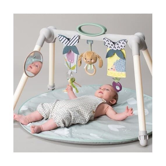 Taf Toys Γυμναστήριο Δραστηριοτήτων Urban Garden Foldable Gym T-13075 - Γυμναστήρια Δραστηριοτήτων στο Oneirokosmos