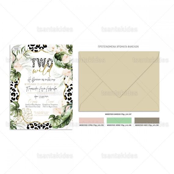 Προσκλητήριο Βάπτισης για Δίδυμα TS592 - Προσκλητήρια Βάπτισης στο Oneirokosmos