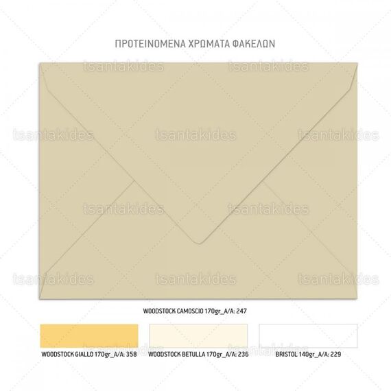 Προσκλητήριο Βάπτισης για Δίδυμα TS593 - Προσκλητήρια Βάπτισης στο Oneirokosmos