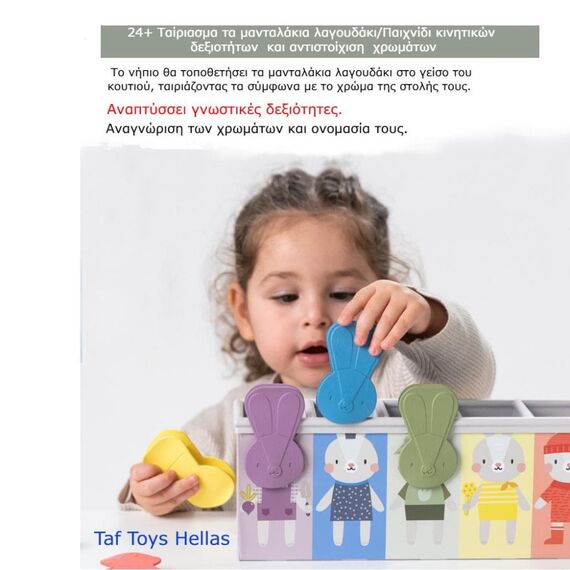 Taf Toys Εκπαιδευτικό Παιχνίδι Δραστηριοτήτων Match & Count Bunny Toys 18+ Τ-13215 - Εκπαιδευτικά Παιχνίδια στο Oneirokosmos