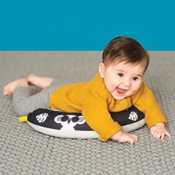 Taf Toys  Μαξιλάρι Δραστηριοτήτων 2in1 Tummy-Time Pillow T-12475 - Γυμναστήρια Δραστηριοτήτων στο Oneirokosmos