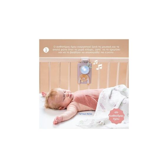 Taf Toys Ζωάκι Bunny Soother & Swaddle Set Τ-13305 - Δώρα στο Oneirokosmos