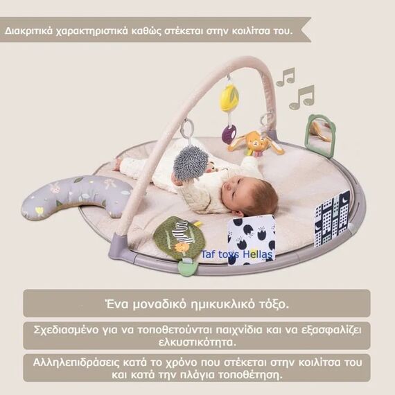 Taf Toys  Tummy-Time Activity Gym Βρεφικό Γυμναστήριο - Γυμναστήρια Δραστηριοτήτων στο Oneirokosmos