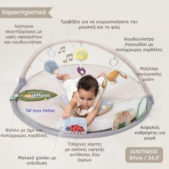Taf Toys  Tummy-Time Activity Gym Βρεφικό Γυμναστήριο - Γυμναστήρια Δραστηριοτήτων στο Oneirokosmos