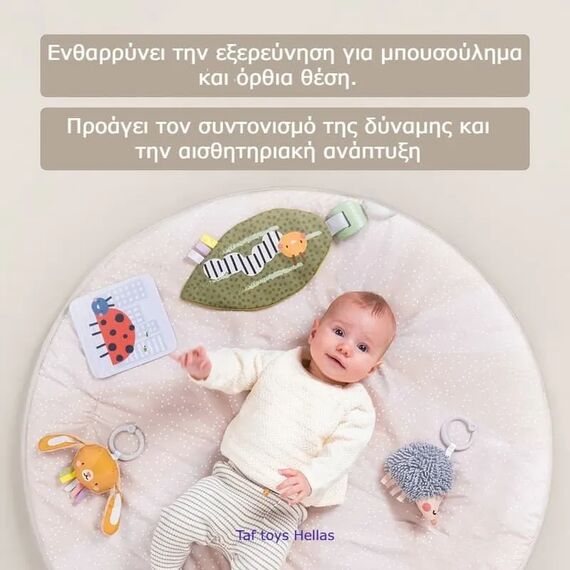 Taf Toys  Tummy-Time Activity Gym Βρεφικό Γυμναστήριο - Γυμναστήρια Δραστηριοτήτων στο Oneirokosmos