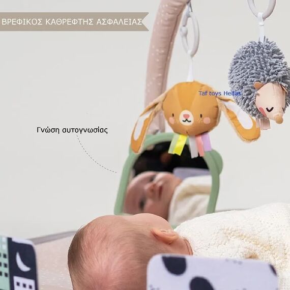 Taf Toys  Tummy-Time Activity Gym Βρεφικό Γυμναστήριο - Γυμναστήρια Δραστηριοτήτων στο Oneirokosmos