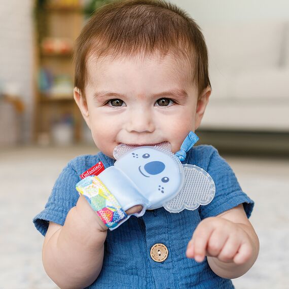 Infantino Μασητικό Γάντι Οδοντοφυΐας Κοάλα B-316582-02 - Μασητικά - Κρίκοι Οδοντοφυΐας στο Oneirokosmos