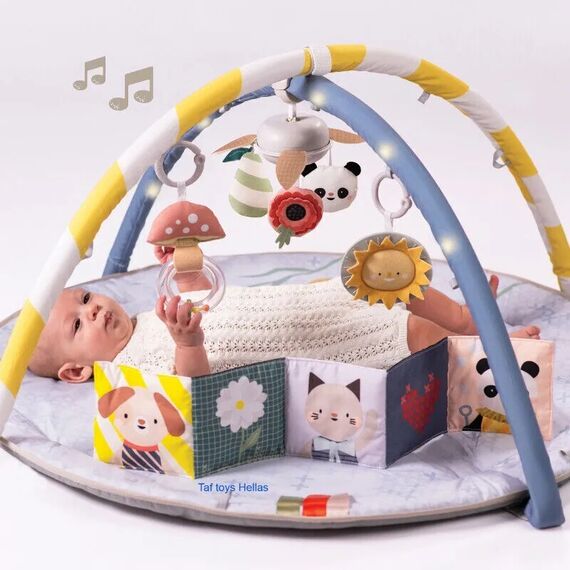 Taf Toys Βρεφικό Γυμναστήριο Δραστηριοτήτων Melody Bloom Gym T-13495 - Γυμναστήρια Δραστηριοτήτων στο Oneirokosmos
