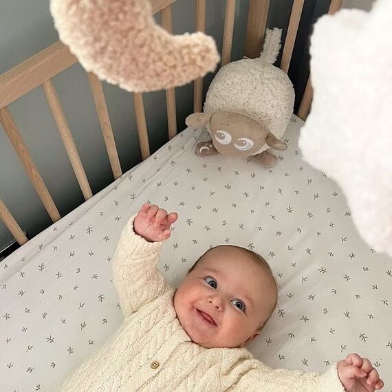 Ewan το προβατάκι DELUXE: Επαναφορτιζόμενο Βοήθημα Ύπνου με αισθητήρα κλάματος και φως  Μπεζ  EW821269 - Παιχνίδια στο Oneirokosmos