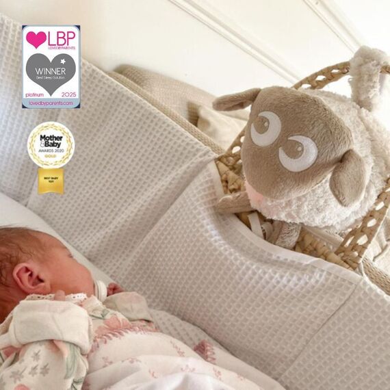 Ewan το προβατάκι DELUXE: Επαναφορτιζόμενο Βοήθημα Ύπνου με αισθητήρα κλάματος και φως  Μπεζ  EW821269 - Παιχνίδια στο Oneirokosmos