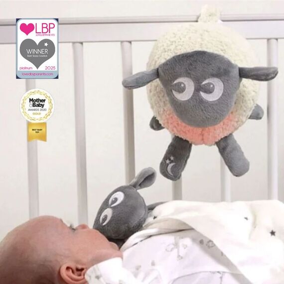 Ewan το προβατάκι DELUXE: Επαναφορτιζόμενο Βοήθημα Ύπνου με αισθητήρα κλάματος και φως  Γκρι  EW821252 - Παιχνίδια στο Oneirokosmos
