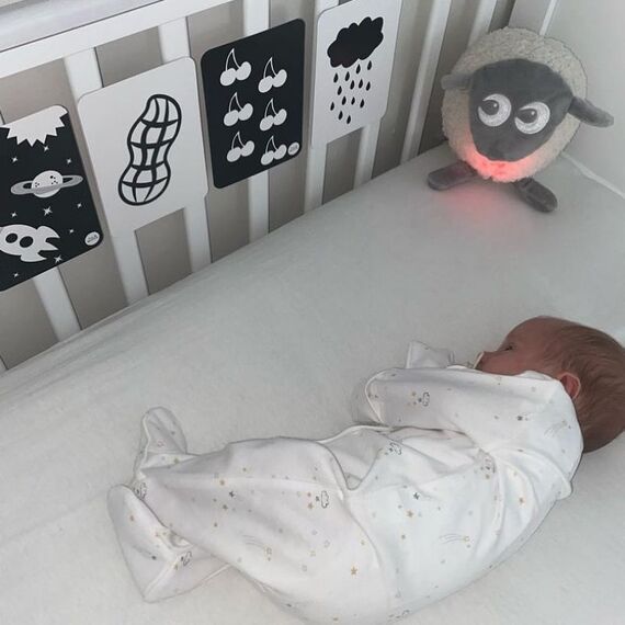 Ewan το προβατάκι DELUXE: Επαναφορτιζόμενο Βοήθημα Ύπνου με αισθητήρα κλάματος και φως  Γκρι  EW821252 - Παιχνίδια στο Oneirokosmos