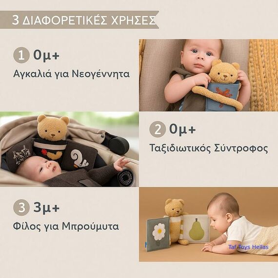Taf Toys Βιβλίο Δραστηριοτήτων Snuggle Bear Book T-13795 - Δώρα στο Oneirokosmos