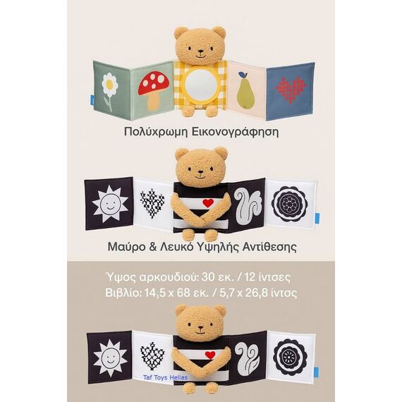 Taf Toys Βιβλίο Δραστηριοτήτων Snuggle Bear Book T-13795 - Δώρα στο Oneirokosmos
