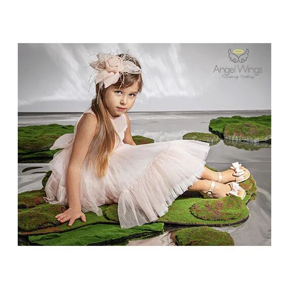 Angel Wings Βαπτιστικό Ρούχο για Κορίτσι Barbie Σχέδιο 304 Dusty Pink - Ρούχα Βάπτισης για Κορίτσι στο Oneirokosmos