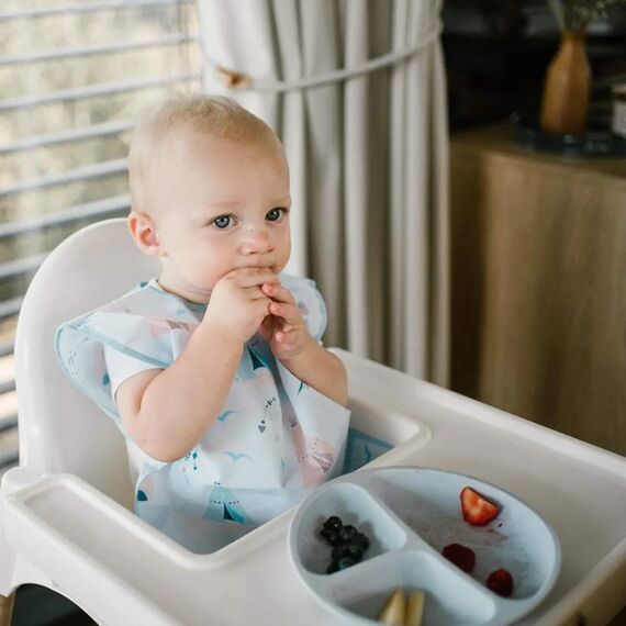 BabyOno  Αδιάβροχη σαλιάρα 2-4years RACCOON BN1642/01 - Σαλιάρες Πλαστικές - Σιλικόνης στο Oneirokosmos