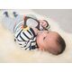 Taf Toys Prince the Penguin Τ-12305 - Κουδουνίστρες στο Oneirokosmos