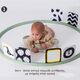 Taf Toys Στεφάνι Δραστηριοτήτων Tummy Time Trainer T-12945 - Γυμναστήρια Δραστηριοτήτων στο Oneirokosmos