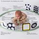 Taf Toys Στεφάνι Δραστηριοτήτων Tummy Time Trainer T-12945 - Γυμναστήρια Δραστηριοτήτων στο Oneirokosmos
