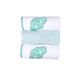 Baby Star  Σετ Λαβέτες 3 τεμ. Cloud Μέντα 30x30cm - Πάνες-Λαβέτες-Σελτέδες στο Oneirokosmos