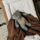 Moonie: Παιχνίδι Ύπνου The Humming Bear Grey Natur από Οργανικό Βαμβάκι με Αισθητήρα Κλάματος M-GRN - Δώρα στο Oneirokosmos