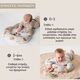 Taf Toys  Μαξιλάρι Δραστηριοτήτων Tummy Time First T-13805 - Γυμναστήρια Δραστηριοτήτων στο Oneirokosmos