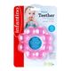 Infantino Μασητικό Ψυγείου Water Teether Grapefruit - Μασητικά - Κρίκοι Οδοντοφυΐας στο Oneirokosmos